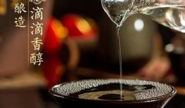 娱乐吃瓜酱好婚姻,好婚姻的秘诀与智慧